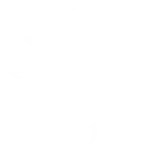Publicis Groupe